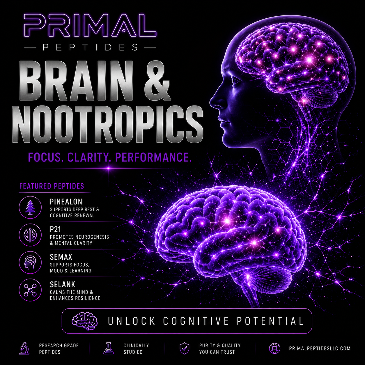 Brain & Nootropics