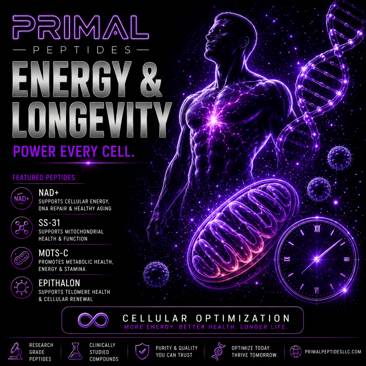 Energy & Longevity